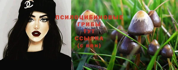 гашик Баксан