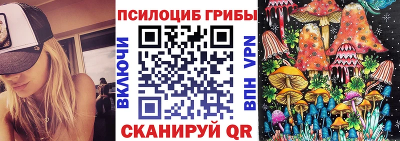 MEGA рабочий сайт  Балахна  Галлюциногенные грибы Psilocybine cubensis  как найти закладки 
